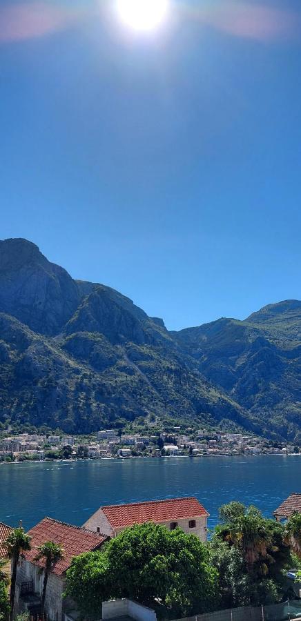 My Roots * Cattaro